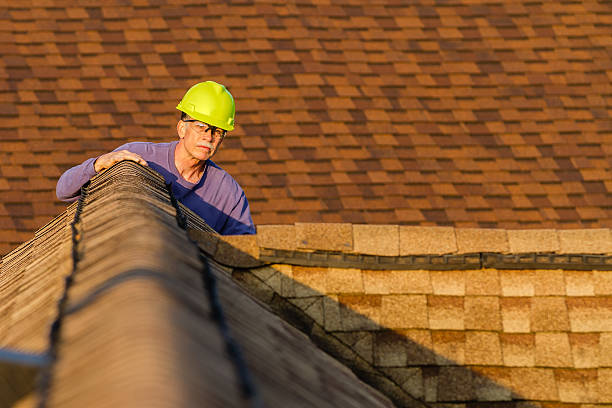 Best Roof Gutter Cleaning  in Salem, UT